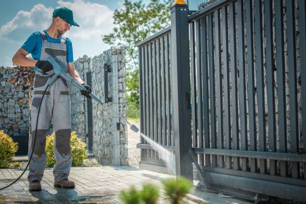 Best Gutter Cleaning  in Fort Mohave, AZ