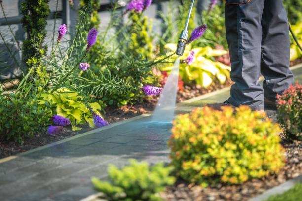 Fort Mohave, AZ Pressure Washing Services Company